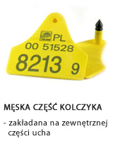 Opis: http://kolczyki-grene.pl/wp-content/themes/Medusa/images/budowa-kolczyka-2.jpg