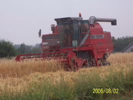 Sprzedam kombajn zbozowy Massey Ferguson 835,stan bdb ,hede